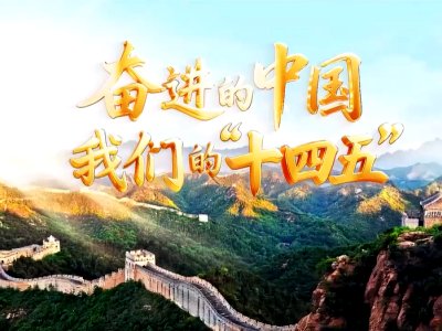 系列解读 更多+