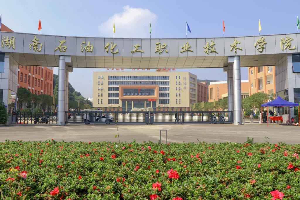 招生政策更多>